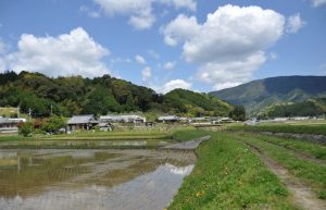 地方（田舎）の婚活アプリならペアーズなわけ