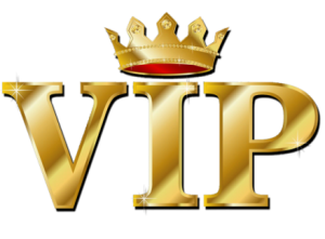 ウィズ（with）のVIPプランとは？有料・無料プランと徹底比較！